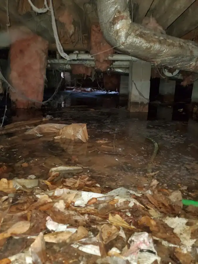 Crawl space flood assessment for Commercial Water Damage Restoration in Shelbyville